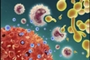 Proteinele din sânge ar putea avertiza asupra cancerului cu 7 ani înainte de diagnosticare