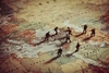 Patru morți într-un atac cu dronă în nordul Irakului