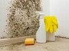 (P) 5 soluții împotriva mucegaiului din casă