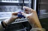 Primele vaccinuri ARN mesager împotriva cancerului sunt testate la Londra: „Este o formă de terapie personalizată”