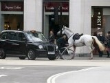 Starea în care se află unul dintre caii scăpați de sub control în centrul Londrei. Ce s-a întâmplat cu animalele