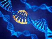 Cercetătorii au identificat o nouă mutație care ar declanșa lupus