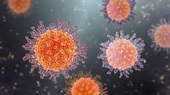 Un virus periculos, care se transmite de la animale la oameni, stârnește îngrijorare „enormă” la OMS