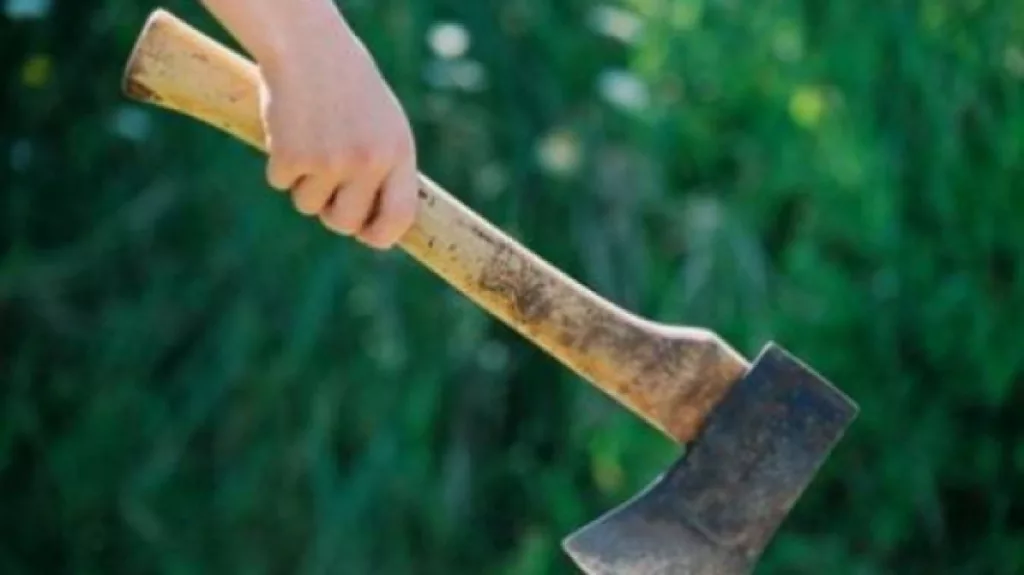 Doi bărbați au atacat cu topoarele polițiștii care le-au cerut să dea muzica mai încet