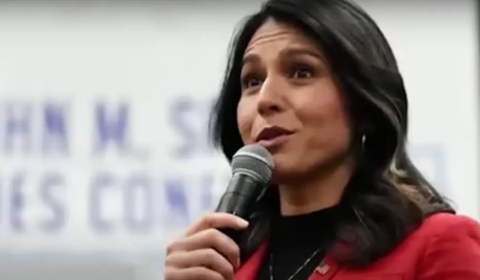 Tensiunile cresc între Gabbard și șeful CIA după dezvăluirea numelui unui ofițer sub acoperire / Vinh Nguyen, (…)