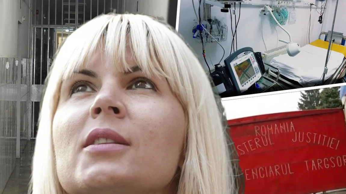 Elena Udrea executată silit de ANAF! 40 de hectare scoase la licitație