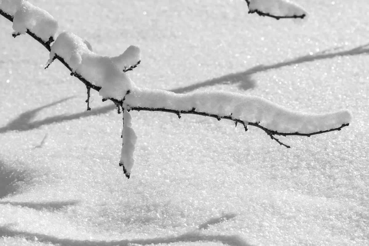 Când va ninge prima dată în sezonul rece 2025. Ce spun meteorologii Accuweather