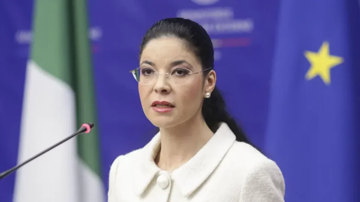 Răsturnare de situație în scandalul Ana Birchall. Documentele incriminatoare au fost eliminate