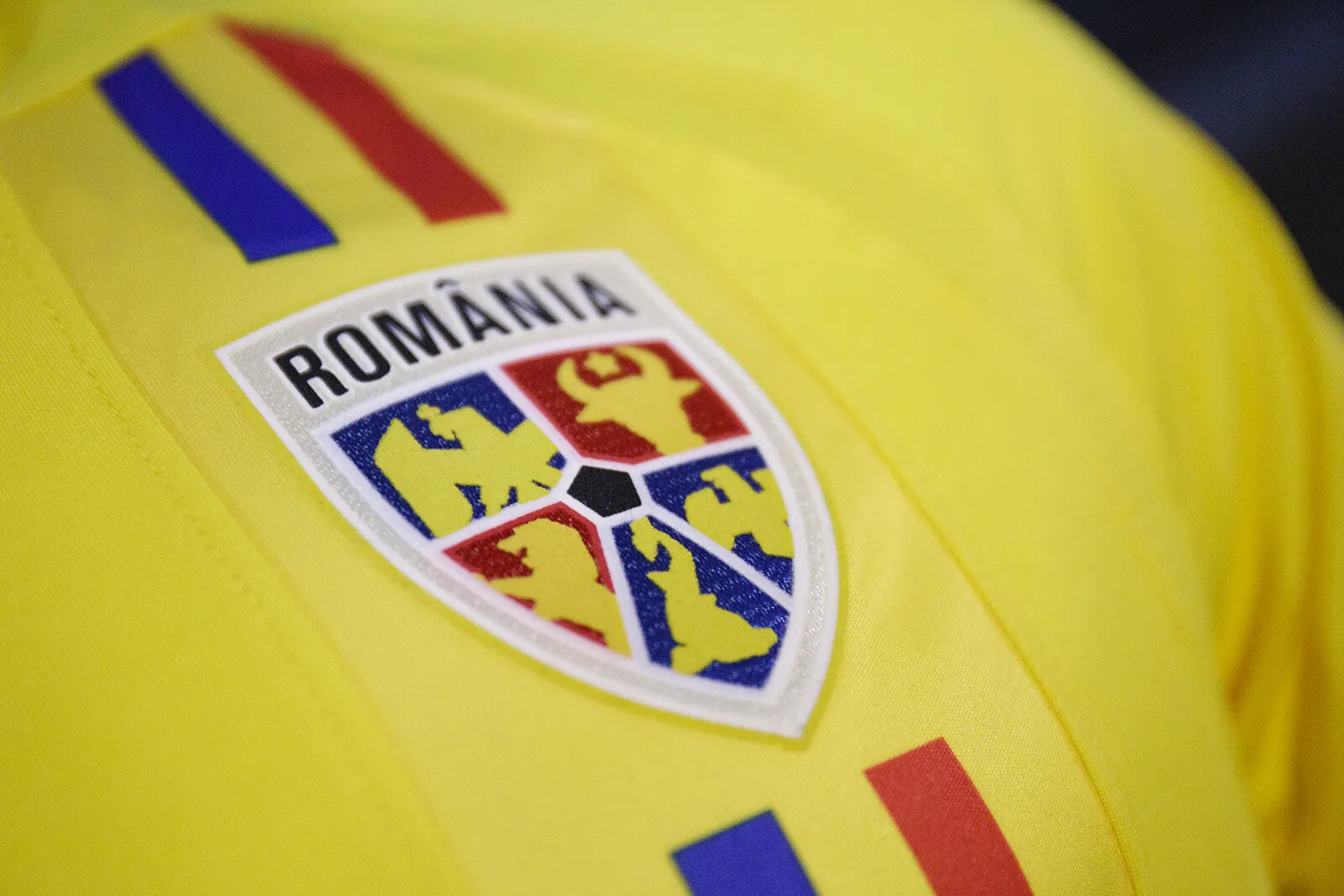 FRF a stabilit regulile de conduită pentru suporterii la meciul România – Austria