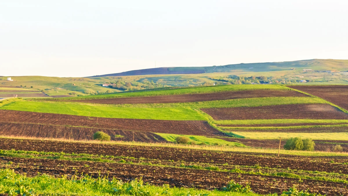 Proprietarii care dețin mai mult teren decât figurează în acte! Cum pot intra legal în posesie