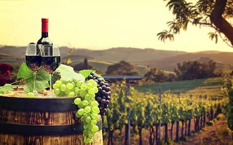 Producția de vin din Franța, revizuită în creștere de autorități