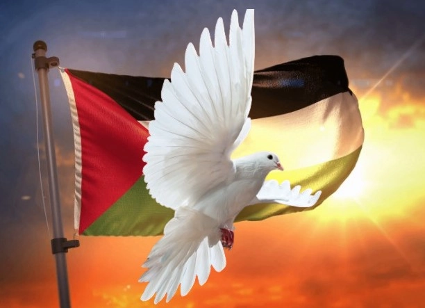 Palestine - a humanitarian catastrophe, Turkish ambassador tells OIC solidarity event with war-torn Gaza