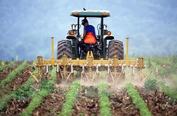 Expunerea gravidelor la pesticide crește riscul ca bebelușul să fie diagnosticat cu leucemie