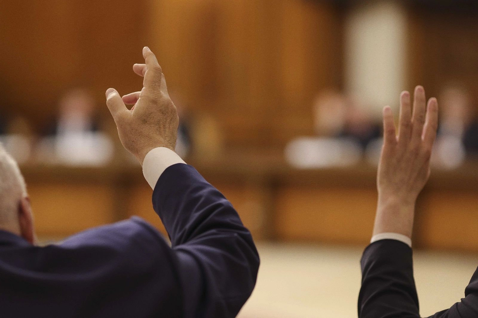 Armata voluntară, aprobată de deputați. Urmează să ajungă la Senat, forul decizional
