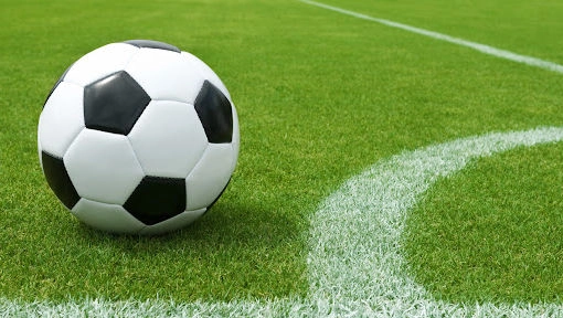 Norvegia a remizat cu Noua Zeelandă, scor 1-1, într-un amical disputat la Oslo