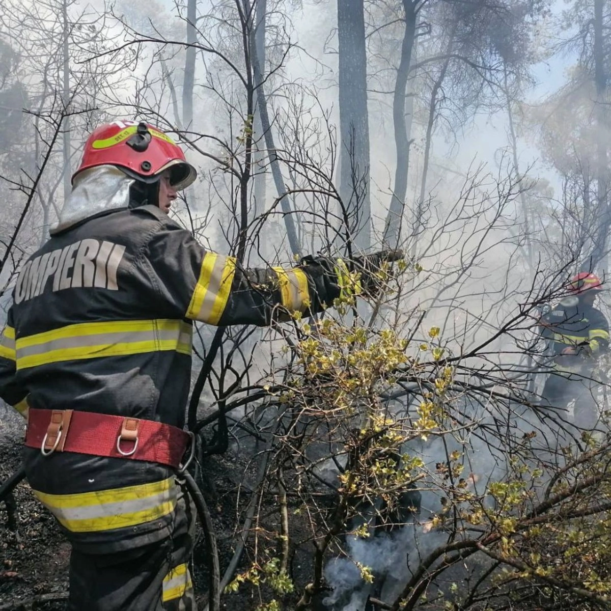 ISU Vâlcea: Coşurile de fum necurăţate şi deteriorate, cauza a circa jumătate dintre incendiile de iarna trecută