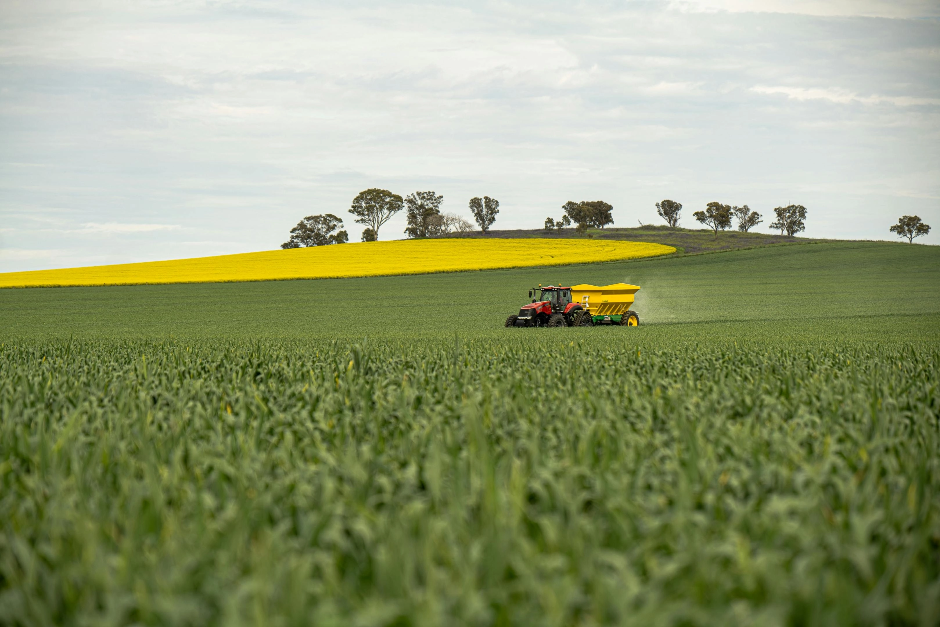 Area of organic agriculture in Romania increases by 160% in the last 12 years