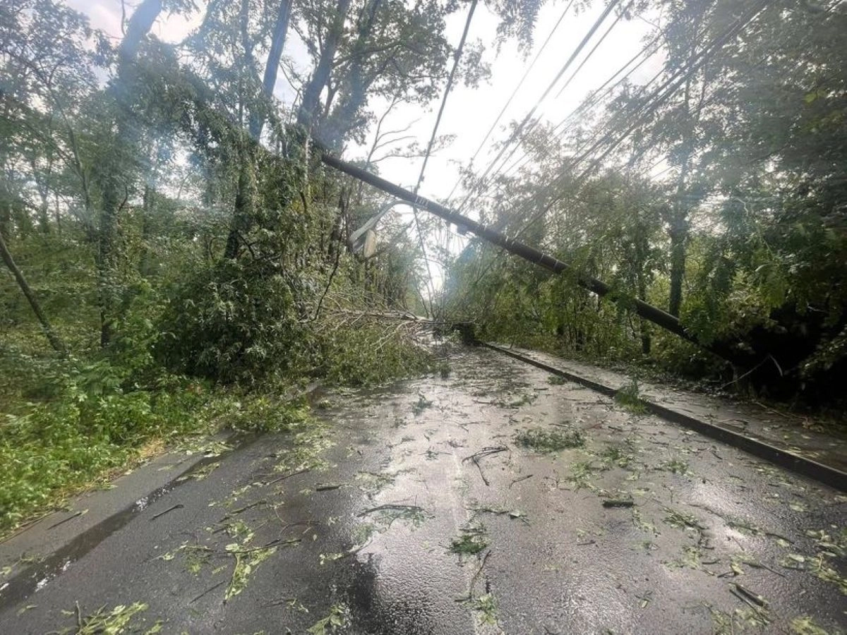 VIDEO FOTO Vremea extremă a făcut prăpăd în mai multe zone din țară, inclusiv în Capitală: ninsori, copaci doborâți (…)