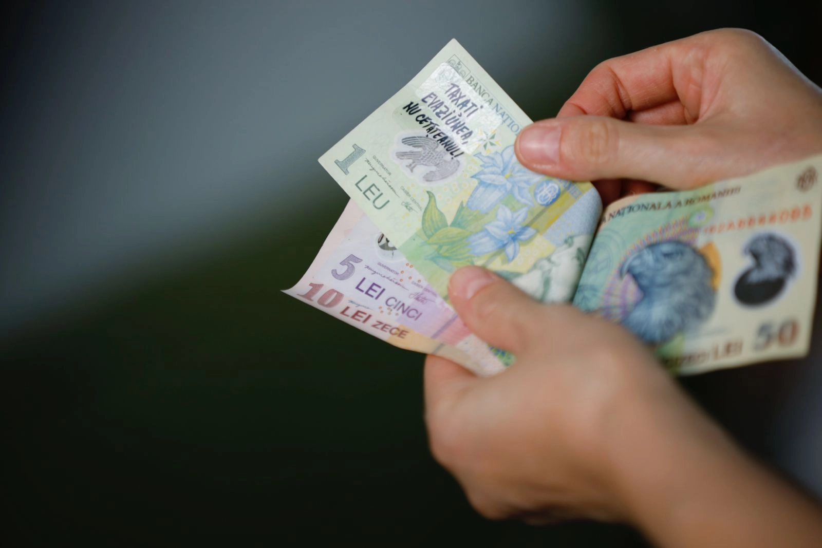 Moneda națională pierde teren în fața principalelor valute