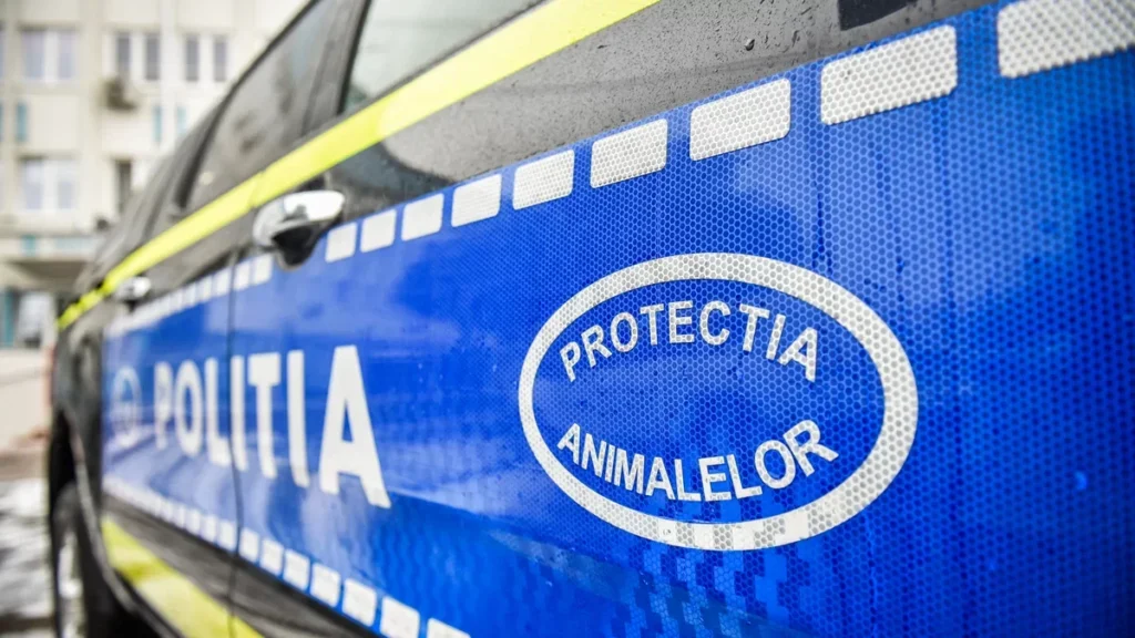 Bărbat arestat după a omorât caprele unui vecin din răzbunare
