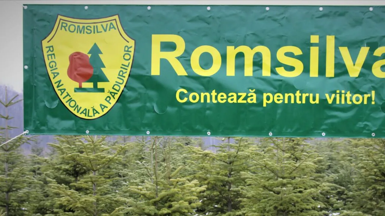 Avalanșă de candidați pentru funcția de director general interimar la Romsilva