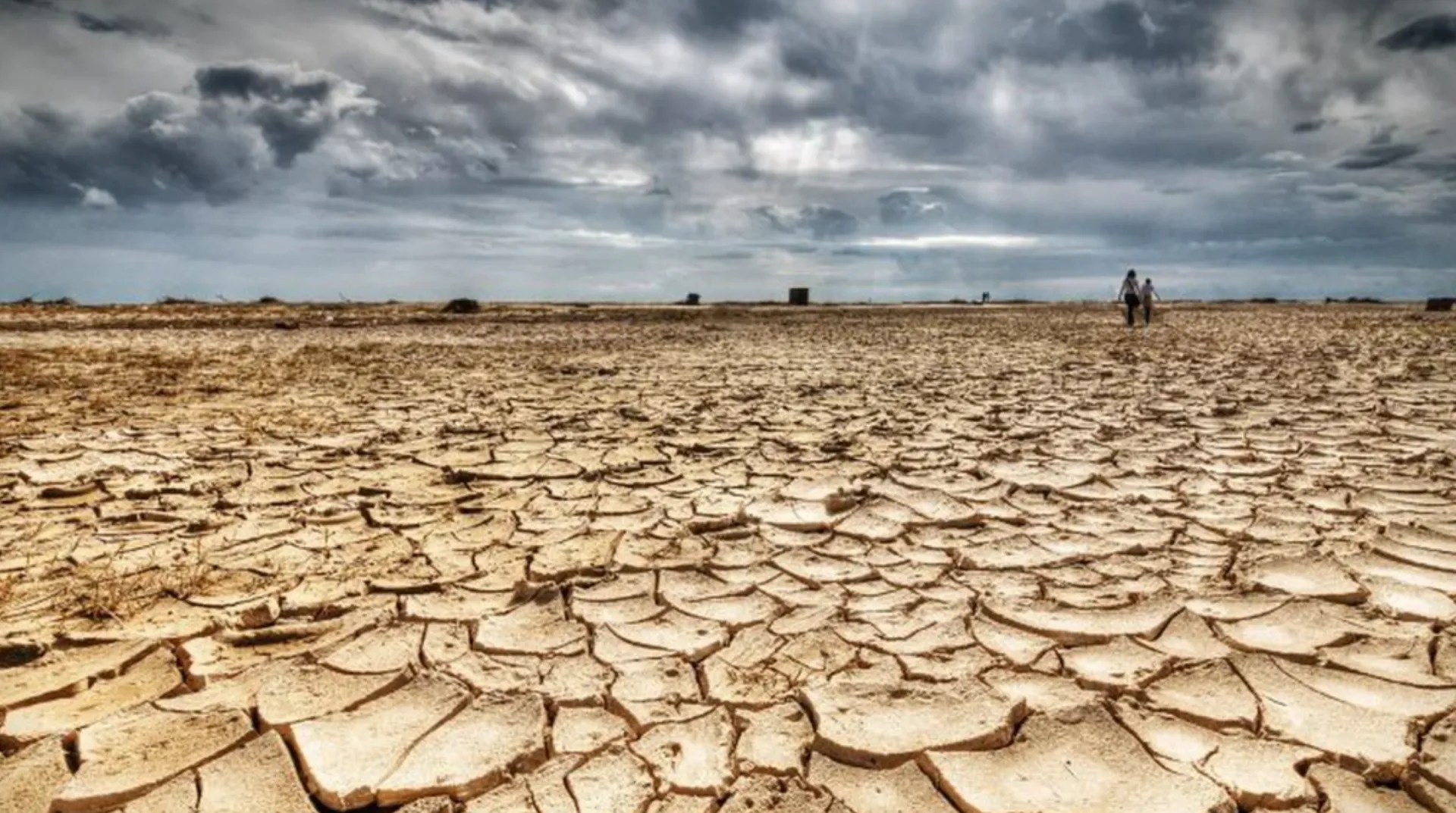 Pericolul grav care pândește Europa: între 60% și 70% din solul continentului nostru este deja afectat de degradare