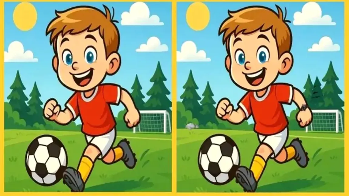 Test IQ | Există 3 diferențe între cele 2 imagini și ai la dispoziție 25 de secunde ca să le descoperi. Le-ai (…)