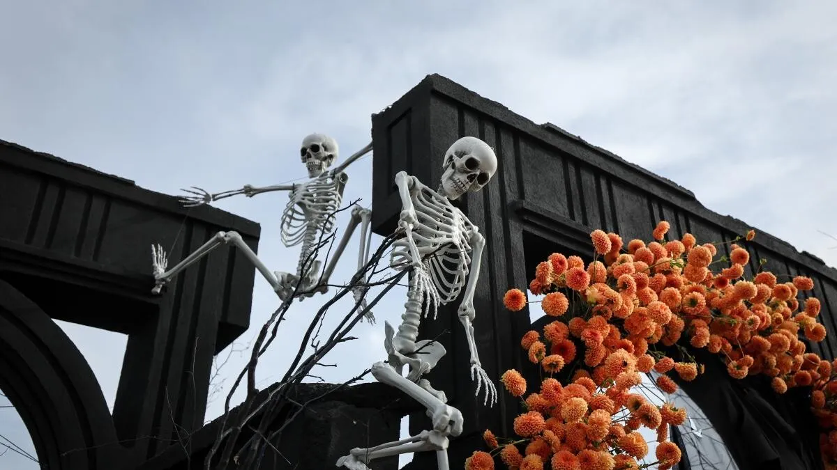 West Side Hallo Fest: Festival de Halloween începe mâine, la București. Cât costă biletul