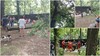 O femeie a fost lovită grav de creanga unui copac, într-un parc din Craiova. În ce stare se află