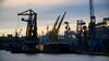 Ciolacu despre investițiile din portul Constanța: vor genera miliarde în plus
