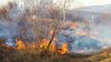 O persoană a murit, alte două au fost rănite, într-un incendiu de vegetație, în comuna Dumbrăveni din Vrancea