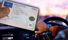 VIDEO Trei români au vândut pe Facebook permise auto scoase la imprimantă; polițiștii le-au 'închis' afacerea de (...)