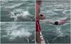 Momentul în care un bărbat din Noua Zeelandă sare de pe o barcă peste o orcă. Am atins-o, ai filmat?