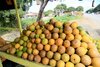 Sucul de portocale, mai scump și mai puțin la nivel mondial, pe fondul celei mai slabe recolte din ultimii 36 de (...)