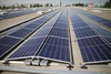 UE va renunţa la investigaţiile legate de două firme chineze care voiau să participe la un parc solar în România