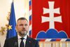 Președintele ales al Slovaciei cere partidelor să-și SUSPENDE campania pentru alegerile europene după tentativa de (...)