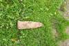 Un giurgiuvean care săpa în curtea casei a găsit un proiectil explozibil. E al șaselea descoperit în Giurgiu de la (...)
