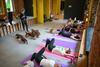 Ţara din Europa care a interzis yoga cu căţeluşi: Animăluţele, folosite ca obiecte pentru a face afaceri