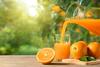 Sucul de portocale, criză majoră. Principalul furnizor se aşteaptă la cea mai slabă recoltă din ultimii 36 de ani