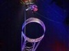 Un acrobat a căzut din „roata morții” în timpul unui spectacol de circ. Publicul a fost evacuat