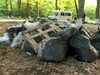 Munți de gunoaie lăsate în urmă de oamenii care au petrecut 1 Mai la picnic: „Așa-i românul nostru”