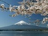 Un oraș de la poalele Muntelui Fuji ridică o barieră care să blocheze priveliștea, disperat de stricăciunile (...)
