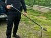 Jandarmii au intervenit pentru îndepărtarea unui şarpe dintr-o maşină în Caraș-Severin