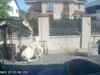 Un bărbat din Timiș, supărat din cauza gălăgiei, a aruncat cu benzină pe un vecin și pe câinii lui. Nu a fost amendat