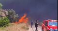 Zeci de incendii de vegetaţie s-au declanşat în Grecia