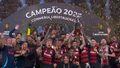 Flamengo a cucerit Cupa Libertadores! Palmeiras mai stă o „tură“