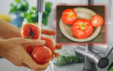 Mai ții minte gustul de altădată al roșiilor românești? Motivul pentru care nu mai au aceeași aromă, în prezent
