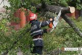 Primăria Sectorului 1: Mai multe străzi au fost afectate de crengi rupe, copaci căzuți și acumulări de apă