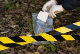 Tânără însărcinată, ucisă cu toporul în fața copiilor și a mamei sale. Criminalul a fost reținut