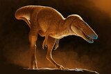 Rămăşiţele unui strămoş al lui T-Rex, descoperite într-un institut mongol